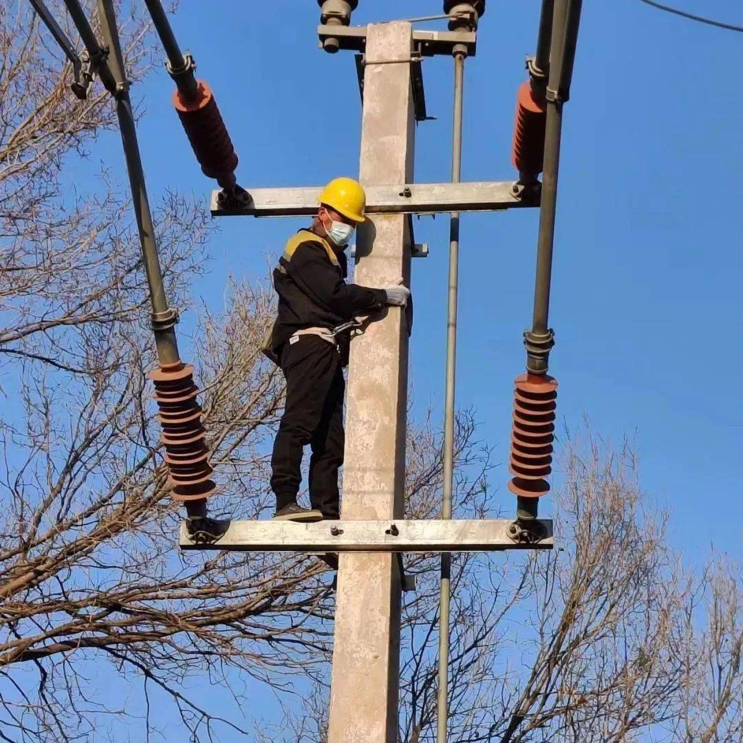 電銷神器大揭秘：哪款最適合你？